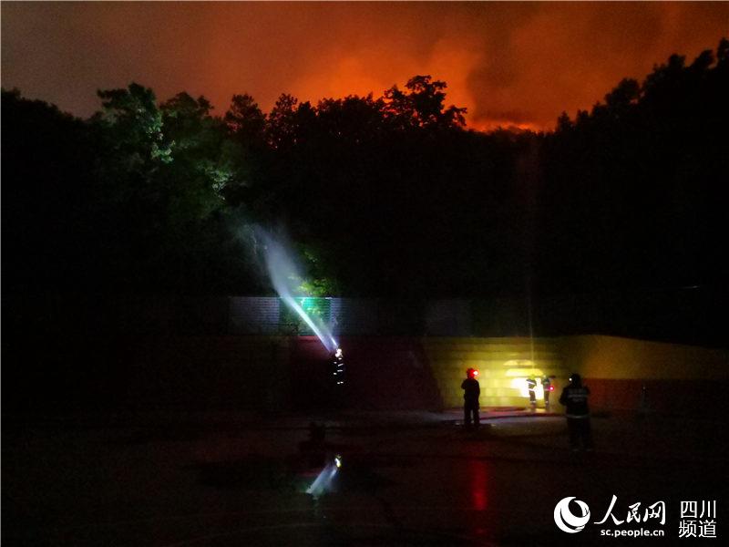 ˆTˮľֲ񣬌˰ȫx֮ĴD