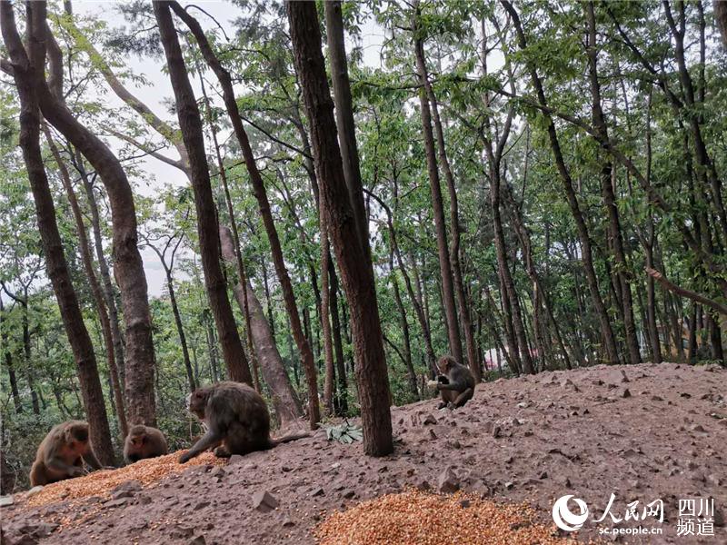 Ĵн(jng)l(xing)ɭֻ(zi)ɞoɽȺɽxoɽ̎׃Ͷʳc(din)_ȺȫýwĹD