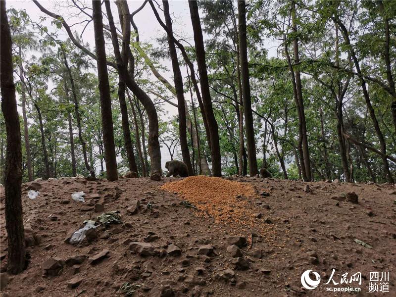 Ĵн(jng)l(xing)ɭֻ(zi)ɞoɽȺɽxoɽ̎׃Ͷʳc_ȺȫýwĹD