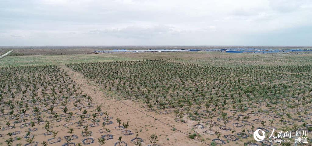 ٮɽ高Nֲأo˙CƬЇCW(wng) D