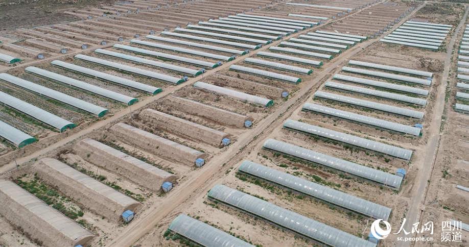 ϸr(nng)I(y)ʾأÿһ(g)ի@Ĵﶼһµϣo˙C(j)ƬЇCW(wng) D