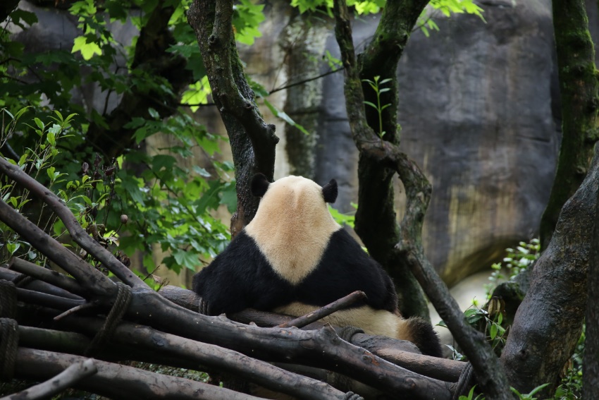 ؈ȵĴ؈ɶ؈оعD