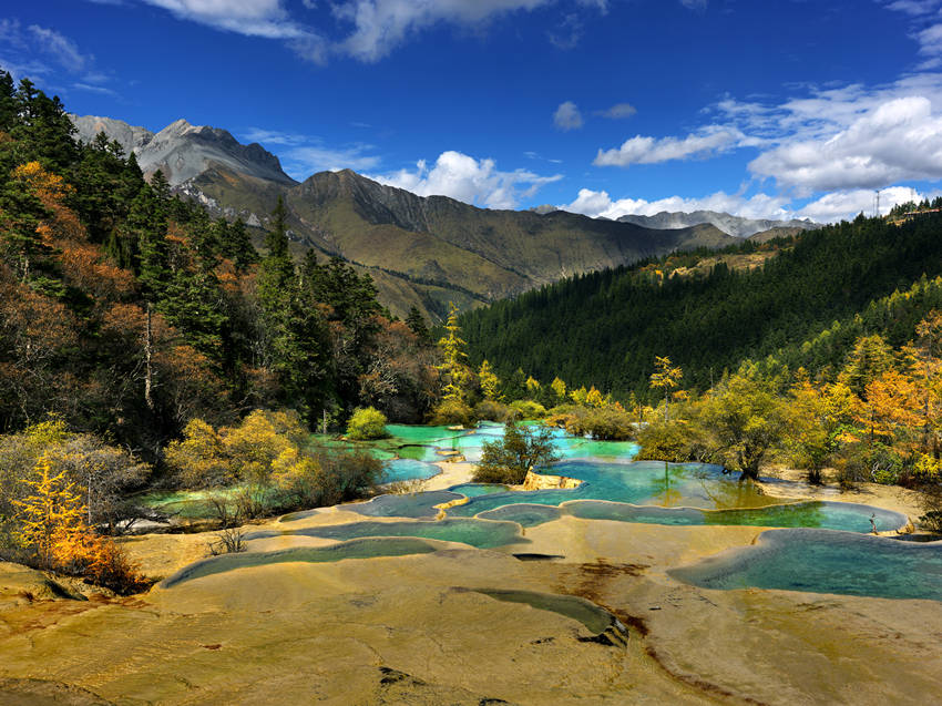 爭(zhēng)艷彩池。黃龍景區(qū)管理局供圖