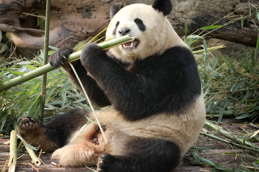 M(jn)¼ҵĴ؈ɶ؈оعD