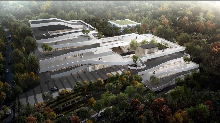 ¿дЧDɶ؈оعD