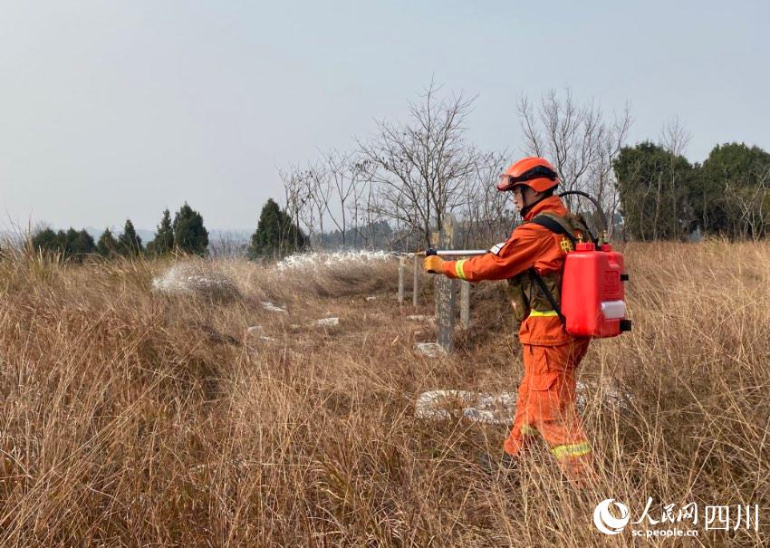 ɶɭԮˆTMМ(yng)ݾSz