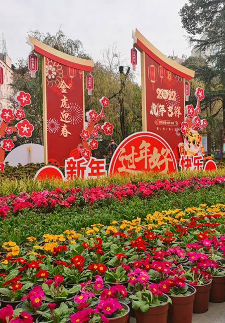 萌虎拜年春意滿，人民公園人民暖