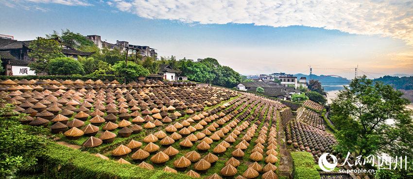 еuȻ¶l(f)͈Fƽz