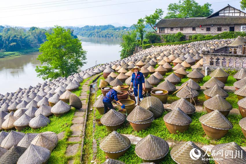 uȻ¶l(f)͈(chng)Fƽz