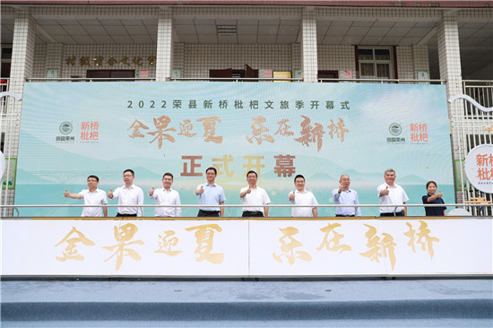 “金果迎夏·樂在新橋”枇杷文旅季正式開幕。主辦方供圖