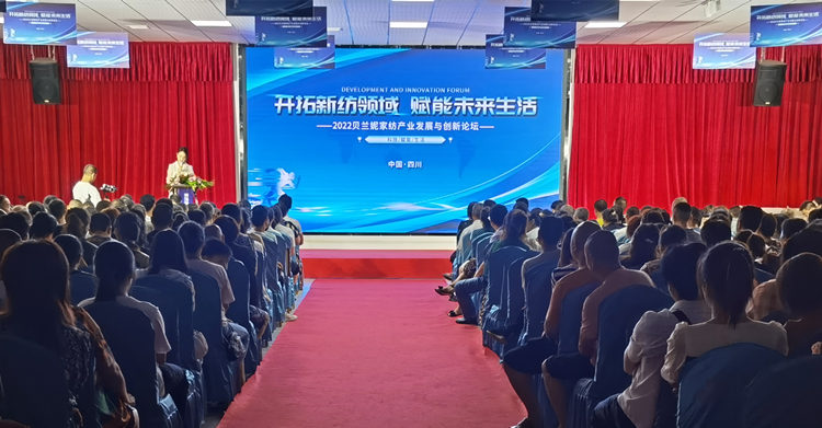 論壇現場。綿竹市融媒體中心供圖