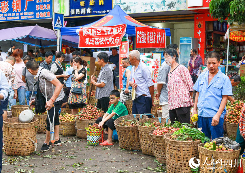 合江縣多家物流企業(yè)積極為消費(fèi)者提供貼心服務(wù)，直接在各荔枝交易市場上設(shè)置服務(wù)網(wǎng)點(diǎn)，讓消費(fèi)者享受到便捷高效的服務(wù)，較好地拓展了荔枝銷售途徑渠道。李貴平攝