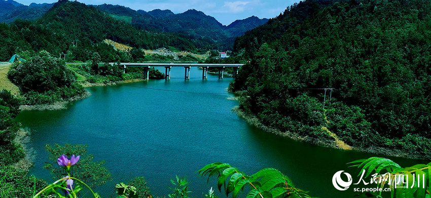 夏日千鳥湖。黃其均攝