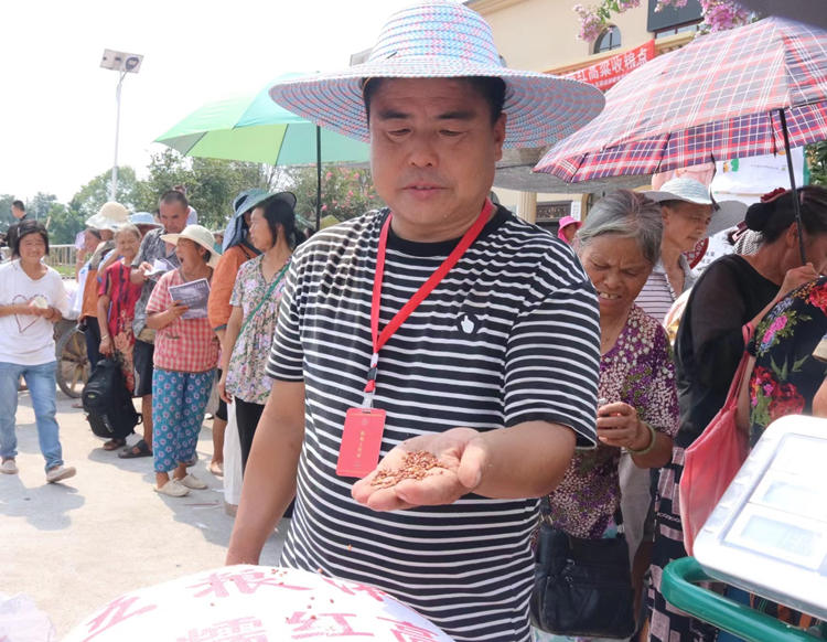 質檢員檢查糧食質量。翠屏區(qū)融媒體中心供圖