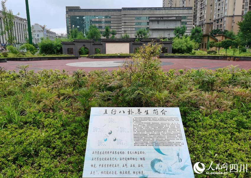 長寧縣中醫(yī)醫(yī)院中藥材種植園及太極健身廣場。人民網(wǎng) 劉海天攝