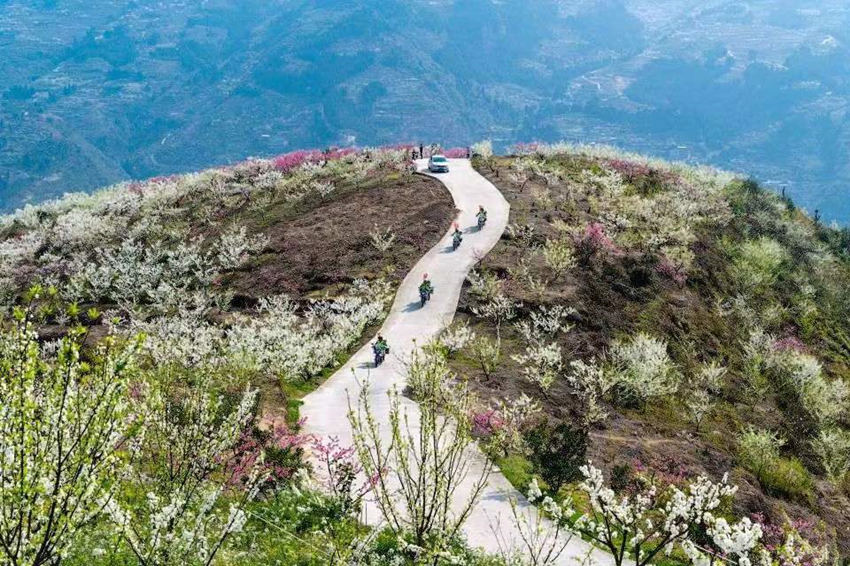 致富之路。赤水鎮(zhèn)供圖