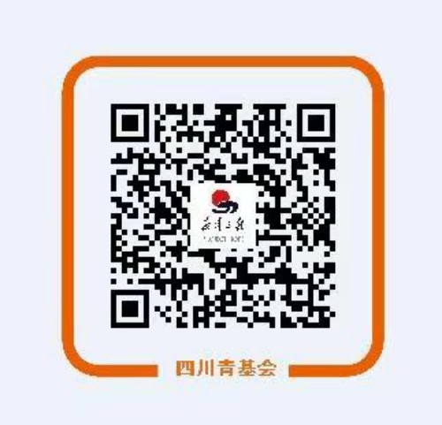 支付寶捐贈二維碼。共青團(tuán)四川省委供圖