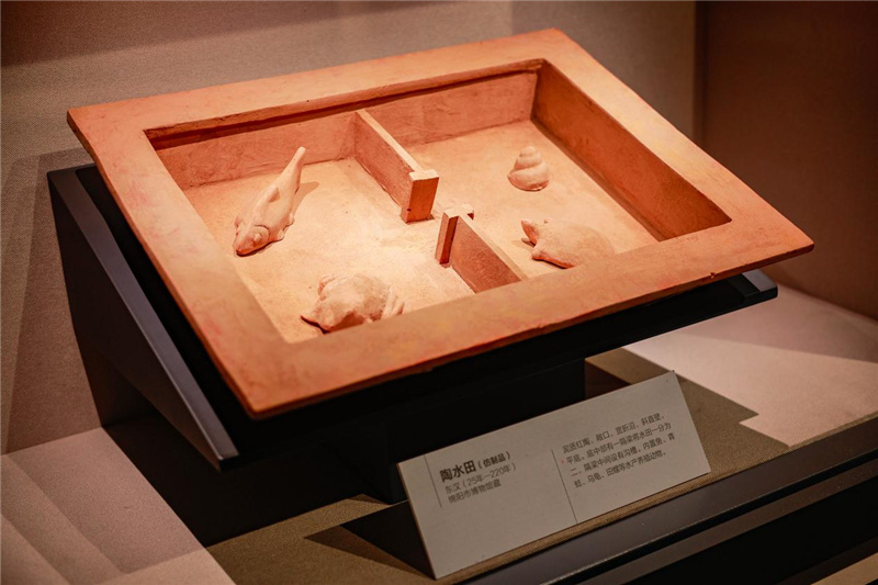 天府農(nóng)耕文明主題展上展示的東漢陶水田（仿制品）。