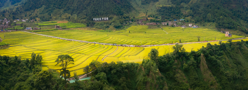 四川省涼山州德昌縣，“中國碗裝中國糧”香稻基地航拍。德昌縣委宣傳部供圖
