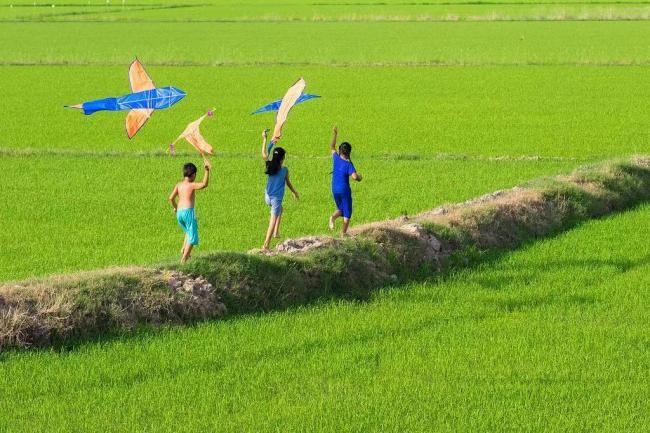 天府糧倉沃野良田。新津區(qū)委宣傳部供圖
