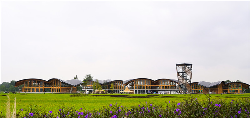 中國天府農(nóng)博園內(nèi)，24節(jié)氣塔立于青苗建筑群中，與自然農(nóng)田和諧共融。新津區(qū)委宣傳部供圖