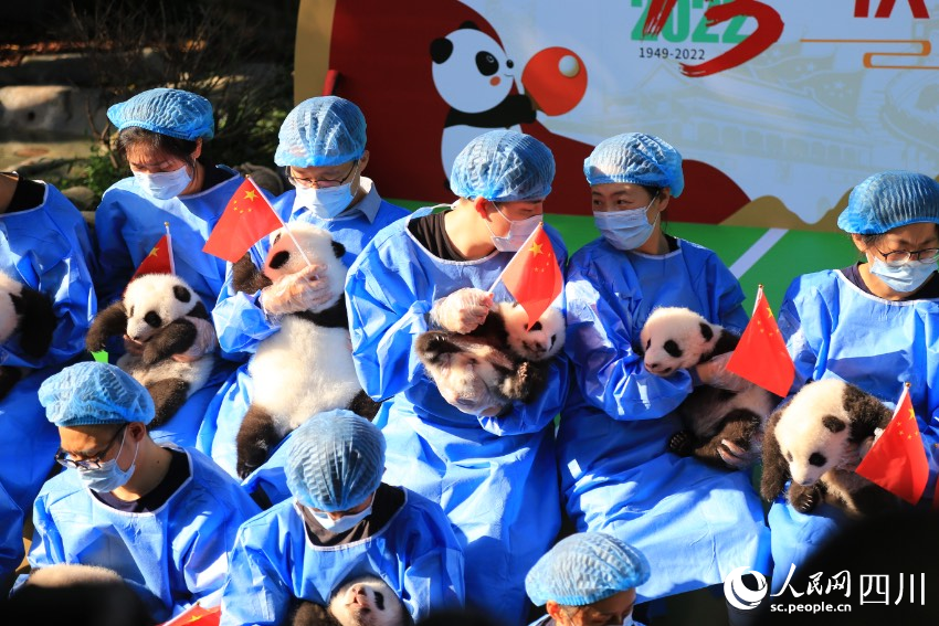 新生幼崽齊亮相。人民網(wǎng) 朱虹攝