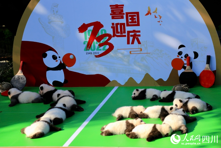 新生幼崽齊亮相。人民網(wǎng) 朱虹攝