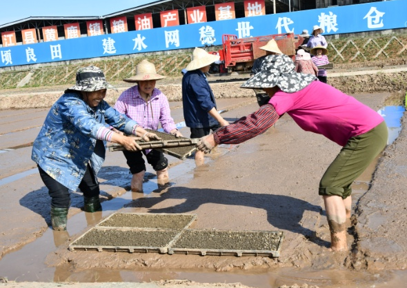 四川省舉行2022年春灌放水啟動(dòng)活動(dòng)4月25日，2022年四川省春灌放水啟動(dòng)活動(dòng)在德陽(yáng)舉行。
