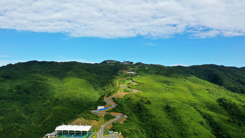 浩瀚的羅漢竹海。代建供圖