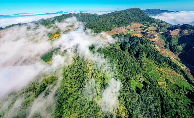 來復(fù)鎮(zhèn)雞爪山山頂。高縣縣委宣傳部供圖