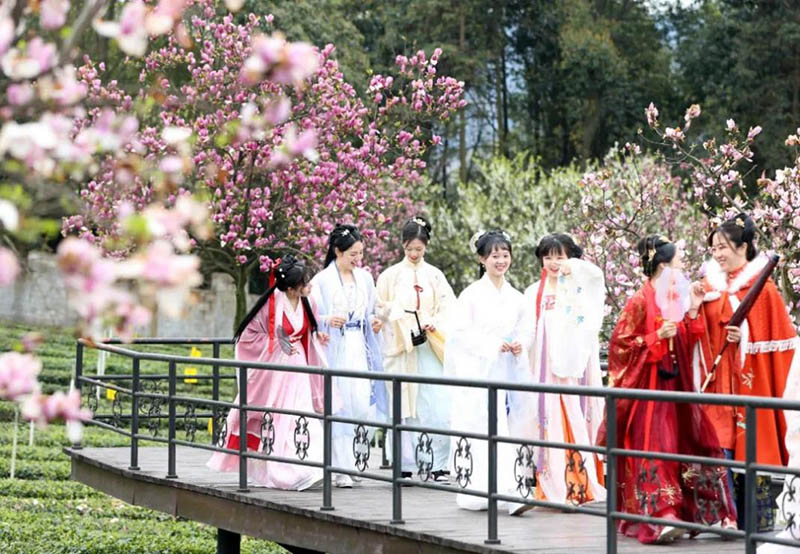 桃花開放，游人若織。高縣縣委宣傳部供圖