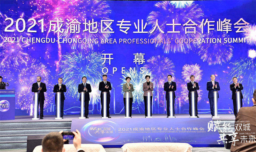 成渝地區(qū)專業(yè)人士合作峰會(huì)現(xiàn)場。天府新區(qū)區(qū)委統(tǒng)戰(zhàn)部供圖