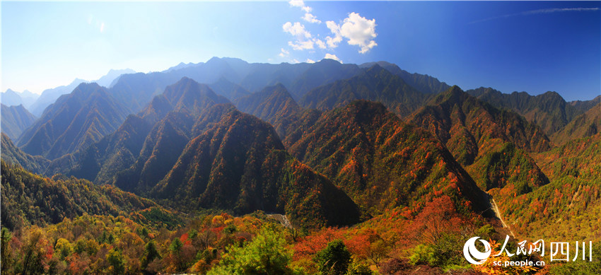 拈花一笑萬山紅。王開晉攝