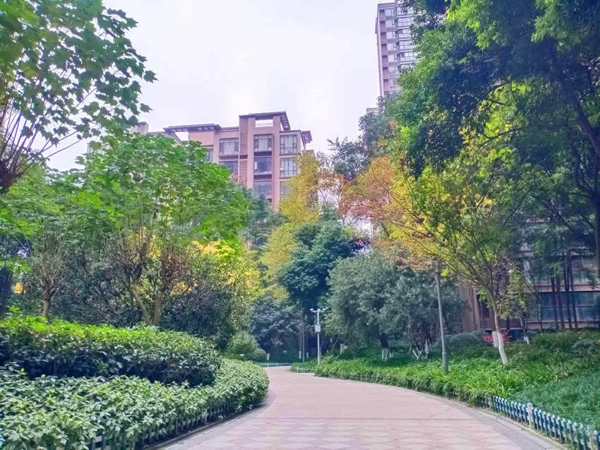 南延新苑。成都高新區(qū)生態(tài)環(huán)境城管局供圖