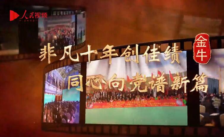 非凡十年創(chuàng)佳績(jī) 同心向黨譜新篇 | 金牛篇