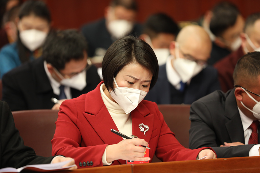 省人大代表黃曉艷：建議加大丘區(qū)高標準農(nóng)田建設(shè)支持力度