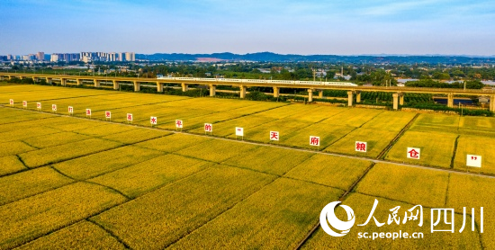 眉山市東坡區(qū)永豐村天府糧倉。侯建明攝
