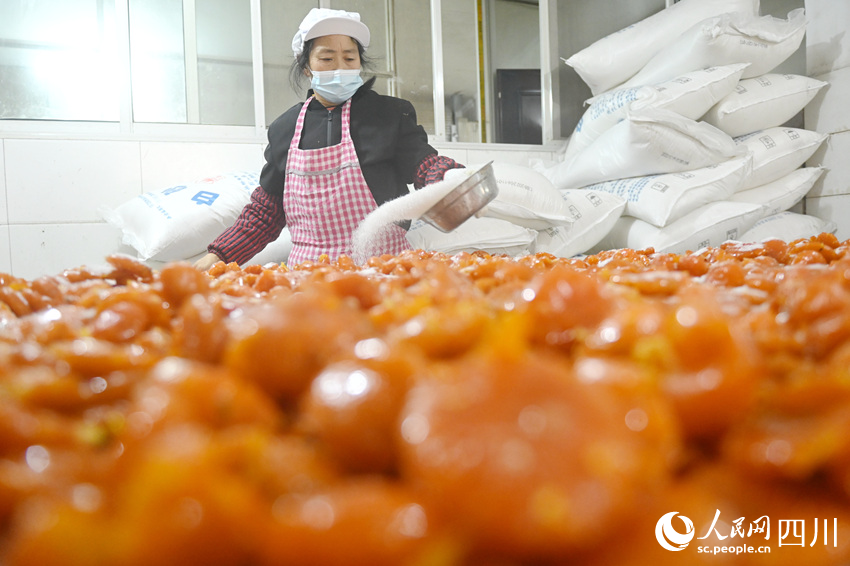 當(dāng)?shù)卮迕裾谶M(jìn)行橘餅蜜餞制作的重要步驟“喂糖”。黃正華攝