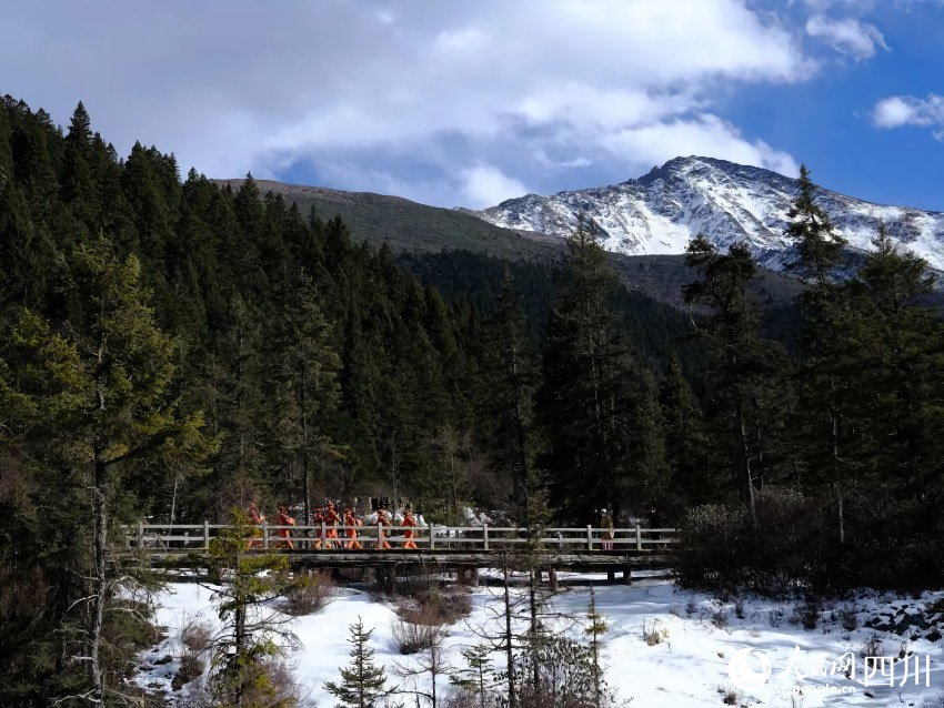 穿行在林海中的“橘紅色”。程雪力攝