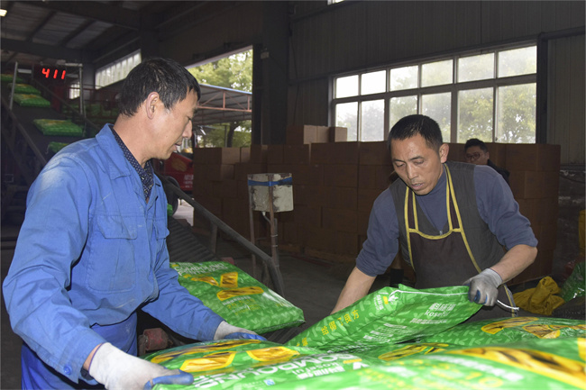 科施福集團正在加緊生產(chǎn)春耕農(nóng)用肥料。徐振宇供圖