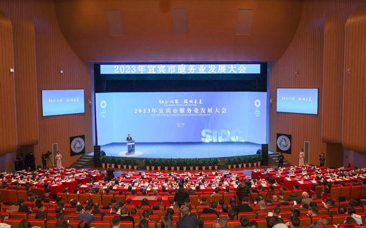 大會現場。宜賓市委宣傳部供圖