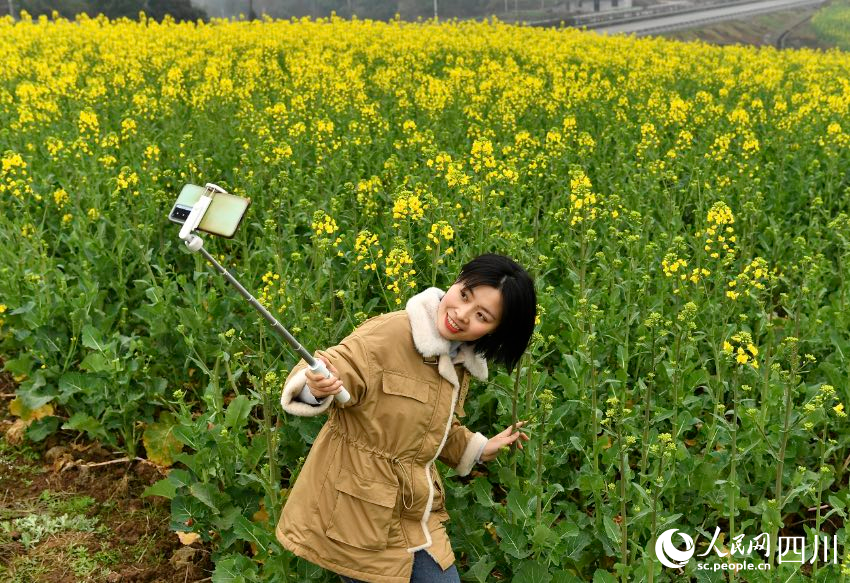 市民踏青賞、休閑游玩。 張啟富攝