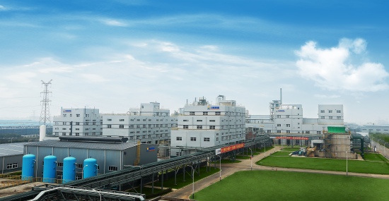 四川能投旗下鼎盛鋰業(yè)公司。四川能投供圖