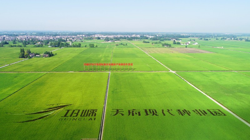 天府現(xiàn)代種業(yè)園航拍圖。