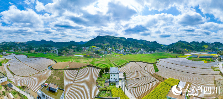 萬(wàn)象“耕”新。李驍攝