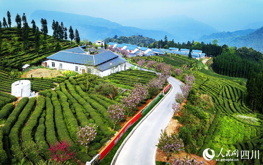 茶山春景圖。何為攝