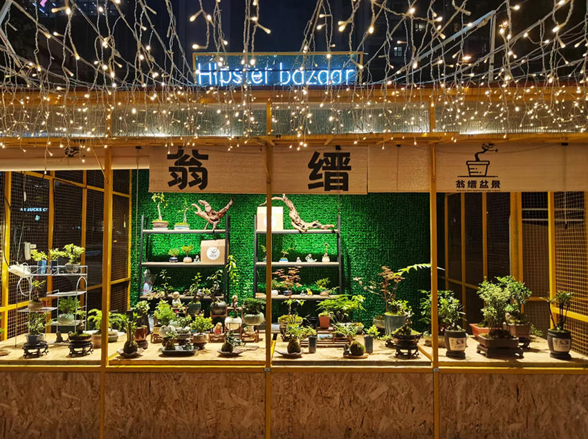 馮文靜通過多種平臺推廣家鄉(xiāng)的小微盆景。受訪者供圖
