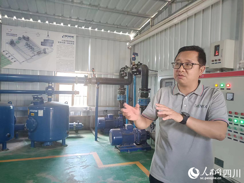 園區(qū)使用智慧水肥一體化系統(tǒng)，在灌溉、施肥方面通過智慧監(jiān)測對藍(lán)莓及時(shí)補(bǔ)給。吳舒婷攝