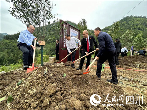 補植復綠現(xiàn)場。人民網(wǎng)記者李平攝