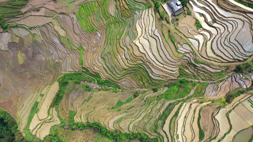 航拍筠連縣鎮(zhèn)舟鎮(zhèn)的“高坎梯田”。筠連縣融媒體中心供圖